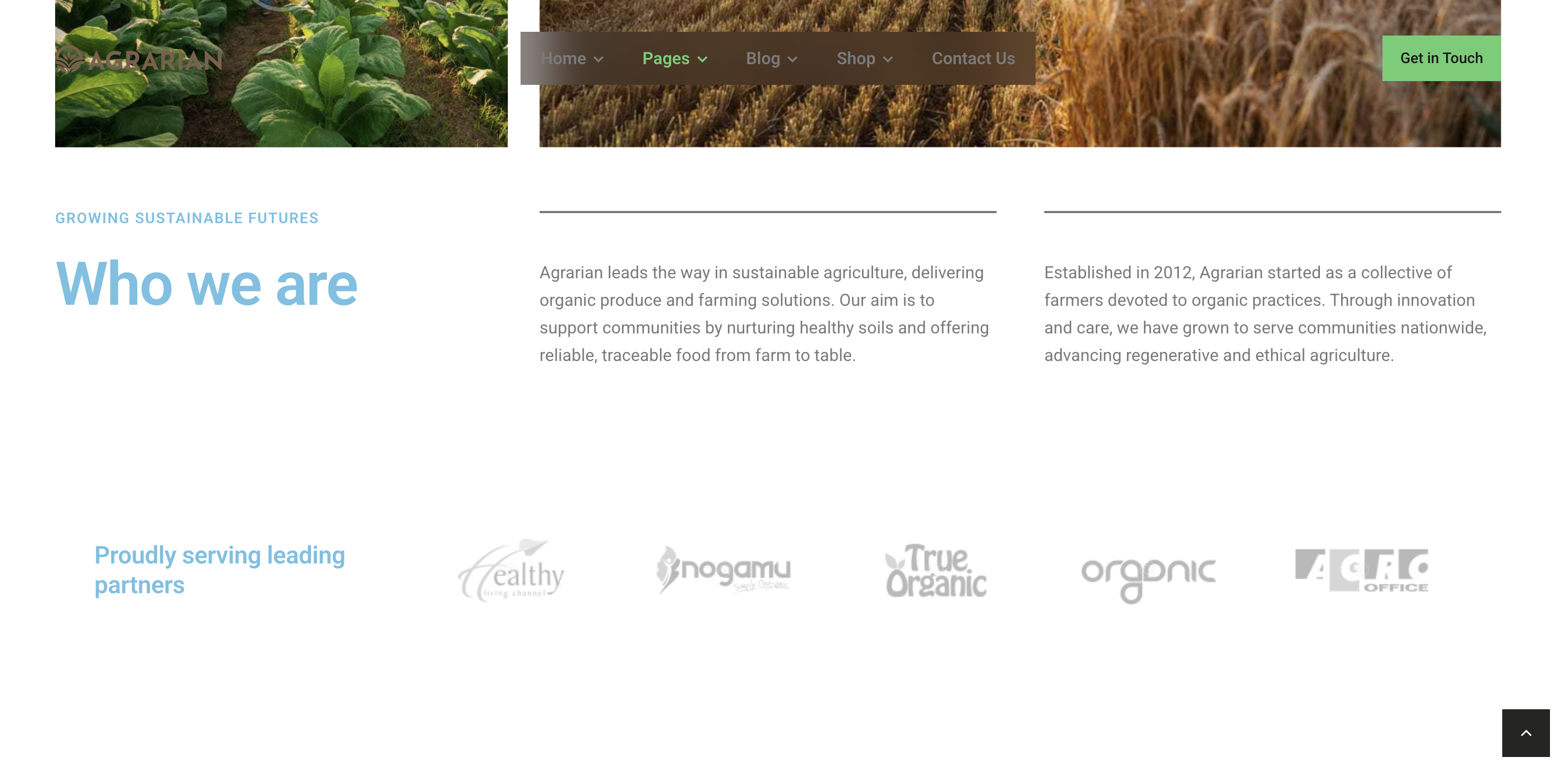 OBSA — Desarrollo Web | Heimdal Ecuador